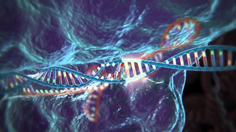 UK Grants Permission To Modify Embryos