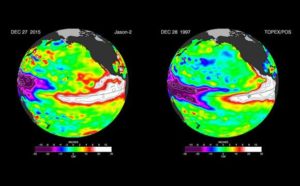A satellite image of El Niño. This Jason-2 image shows that the amount of extra-warm surface water from the current El Niño has continuously increased, especially in the eastern Pacific within 10 degrees latitude north and south of the equator. Source: NASA 