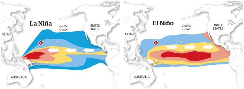 During La Niña, winds from the east push warm surface waters to the western Pacific. However during El Niño, winds weaken and warm surface water flows back to the eastern Pacific. Source: Tampa Bay Times
