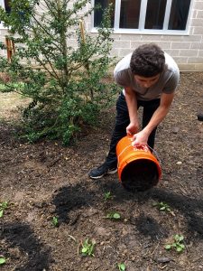 Ollie Herndons, a HHS Sophomore, spread mulch on the newly planted native plants on April 29th, 2016. He was a part of the group that spread the mulch around the plants, so the plants could get nutrients. 
