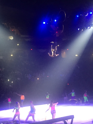 A member of the rhythmic gymnastics team sits in a split at the top of the Giant Center while other gymnasts dance beneath her. She rode down to the ground and then flipped off the strings. (The Broadcaster/ Tori Moss)