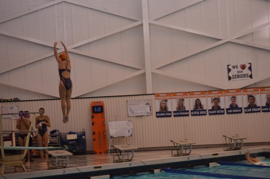 Hershey High School sophomore Meredith Gould warms up with the rest of Hershey’s divers. Gould went on to take first place in girls diving with a score of 221.15 on Tuesday December 13, 2016. (Broadcaster/Emily Liesch)
