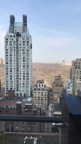 The view of Central Park in Manhattan, New York from the top of the Viceroy Hotel. Madi Mascari, Sofia Suri, and Kaitlyn Kelley visited New York on March 24, 2017 (Broadcaster/ Kaitlyn Kelley)
