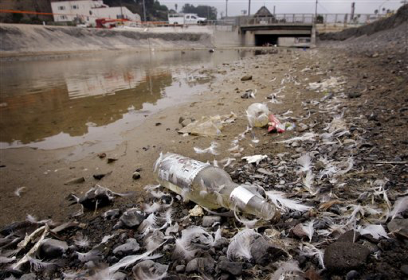 Debris and standing water collect at the outflow of the creek that drains into the ocean from Santa Monica Canyon, at Will Rogers State Beach in Los Angeles Thursday, Sept. 14, 2006. Seven years ago, a federal consent decree set in motion a process to clean up some of the nations most popular beaches rimming Santa Monica Bay, waters polluted with a brew of contaminants from animal droppings to fertilizer. The 13 cities that surround the bay were given until July to do something about the pollution or pay big daily fines. However, the deadline has passed and many of the beaches still arent clean, prompting the Los Angeles Regional Water Quality Board to consider ways to make enforcement easier. (AP Photo/Reed Saxon)