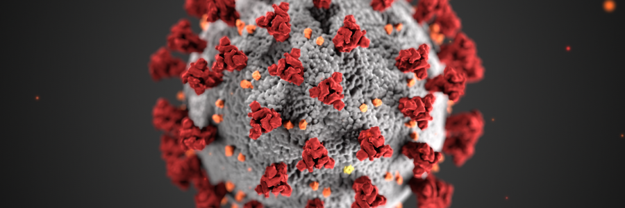 COVID-19 virus is pictured in an artists rendering.  (US State Department)
