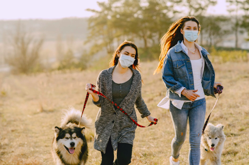 Women in masks take a walk with their dogs. If in the same household, being near each other is okay, but stay away from others. (Gustavo Fring)