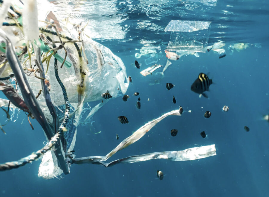 Plastic+floats+around+the+ocean+as+fish+swim+towards+it.+12+million+tons+of+plastic+gets+dumped+into+the+ocean+each+year.+%E2%80%9CNot+only+are+plastics+polluting+our+oceans+and+waterways+and+killing+marine+life+%E2%80%93+it%E2%80%99s+in+all+of+us+and+we+can%E2%80%99t+escape+consuming+plastics.%E2%80%9D+%E2%80%93+Marco+Lambertini%2C+Director+General+of+WWF+International.+%28Naja+Bertolt+Jensen%2FUnsplash%2FCC+BY-+SA+2.0%29%0A