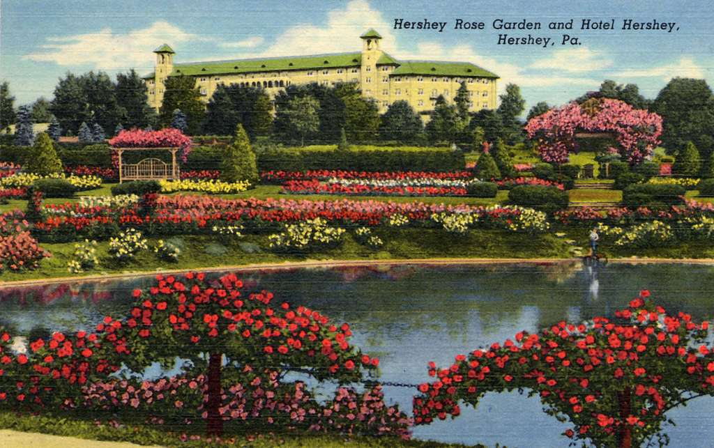 Penn-Jersey District of American Rose Society hosts Rose Show at Hershey Gardens