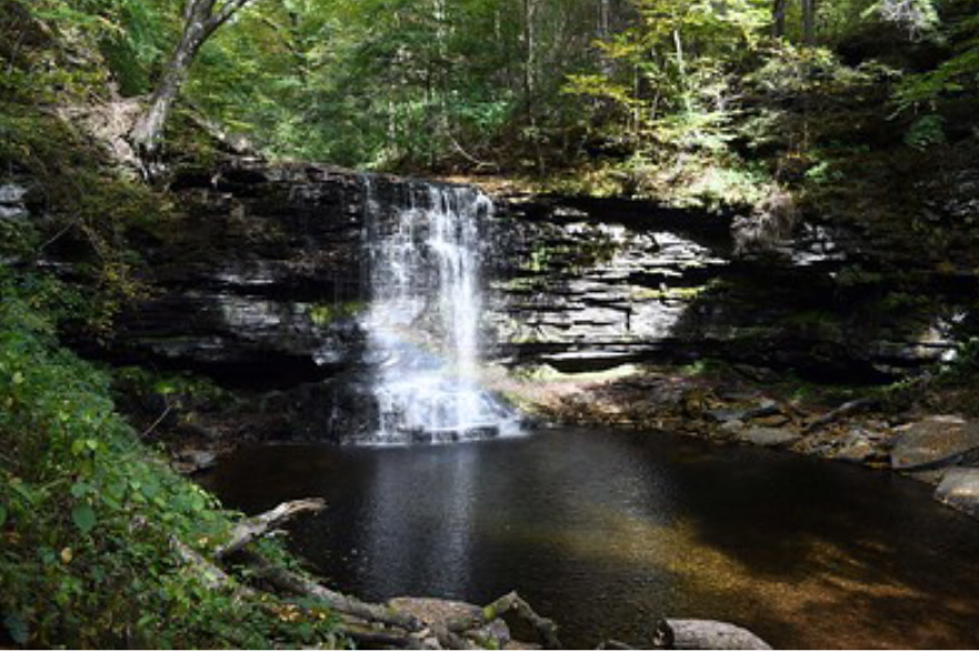 Pictured is one of many waterfalls located along the trails of Ricketts Glen State Park. This park was declared a state park in 1942. (Pontla/CC BY-NC-ND 2.0 DEED)
