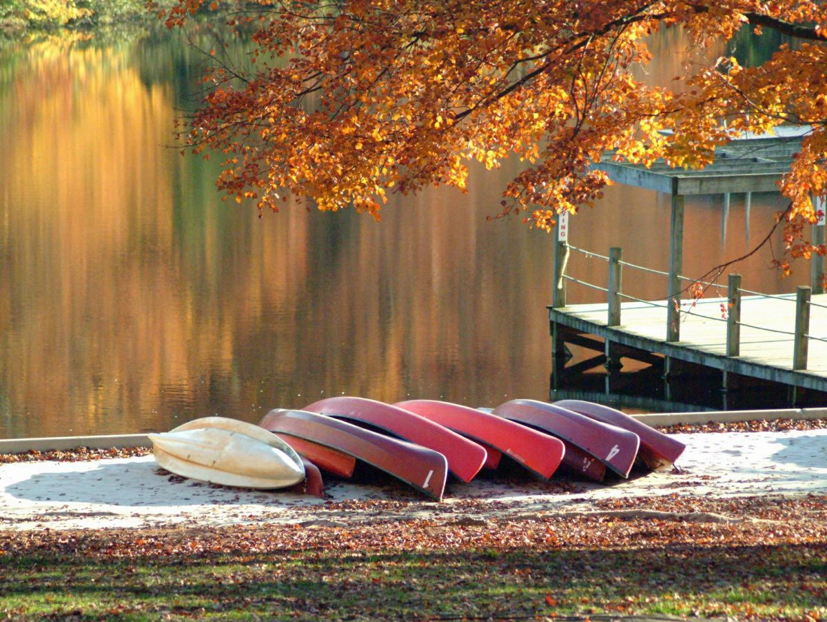 A Mount Gretna Treasure - Governor Dick Hiking Trail