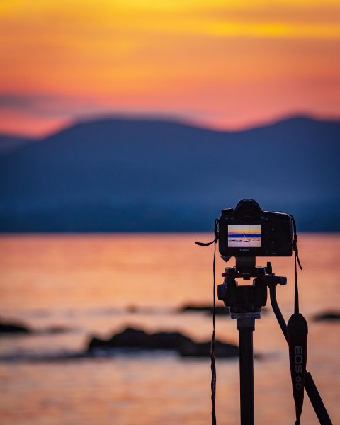 Five Affordable Digital Cameras You Need This Summer 